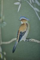 Nicola ALEXANDRE - ADN AGENCEUR DECORATEUR NICOLA