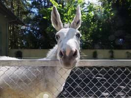 Florent LUKAS - LUKAS FLORENT